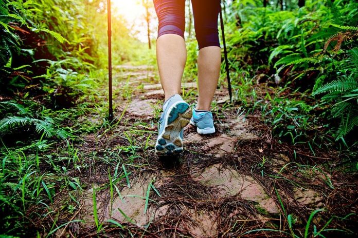 can i wear trail running shoes for hiking can i wear trail running shoes for hiking