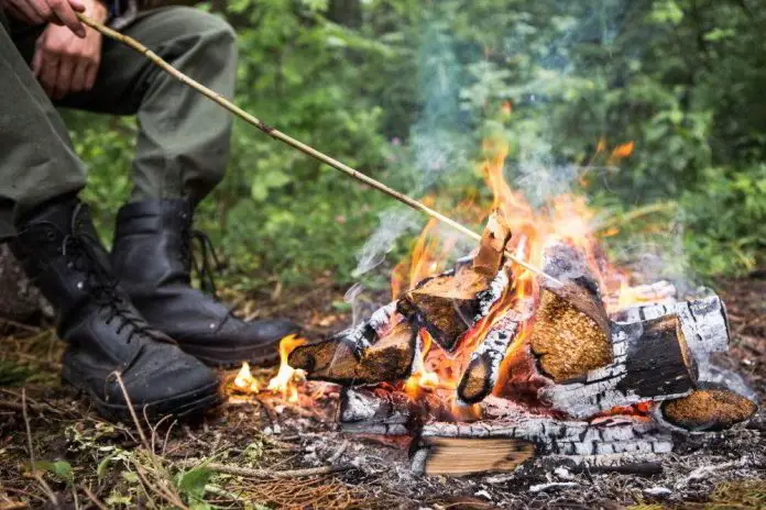 can you burn wet wood can you burn wet wood