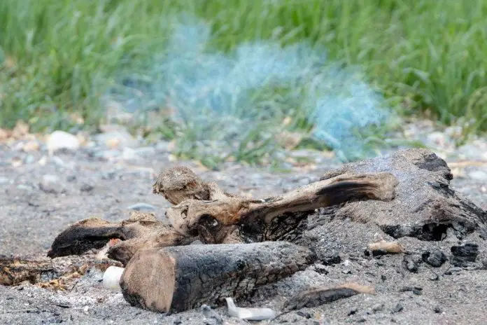 how to put out a fire without water how to put out a fire without water