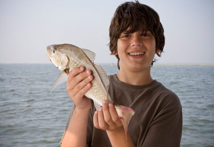 how to catch croakers in florida how to catch croakers in florida