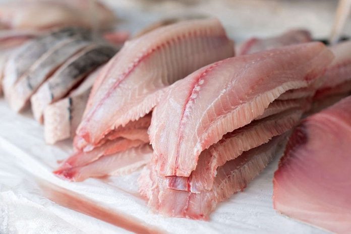how to freeze fish in ziplock how to freeze fish in ziplock