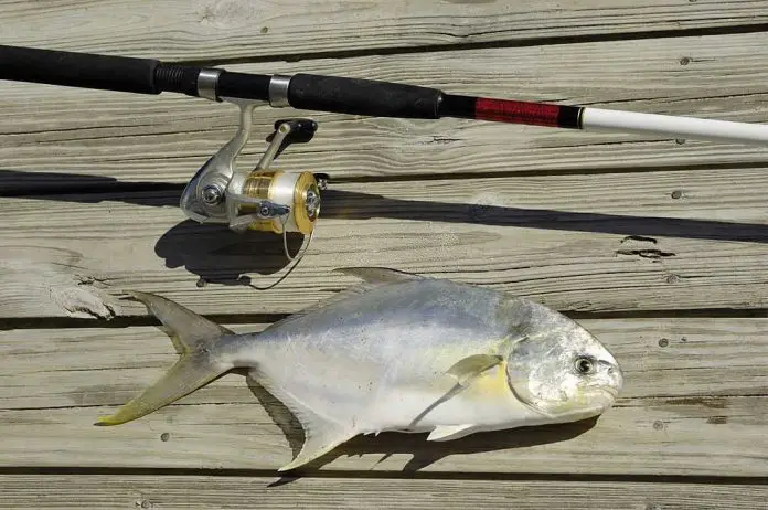 how to catch pompano in florida how to catch pompano in florida