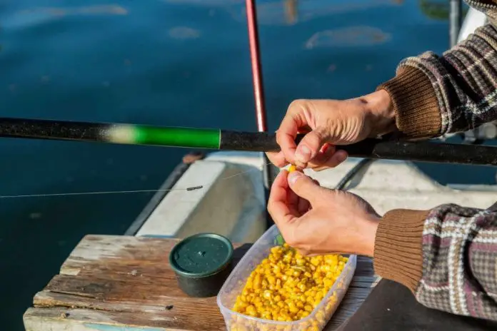 is fishing with corn illegal in texas is fishing with corn illegal in texas