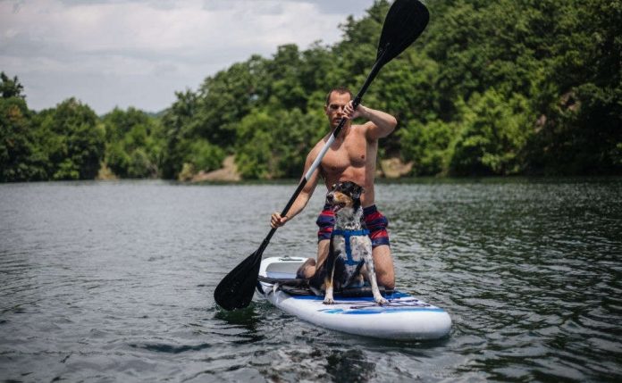 what muscles does paddle boarding work what muscles does paddle boarding work