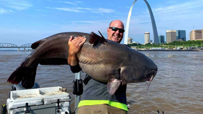are blue catfish good to eat are blue catfish good to eat