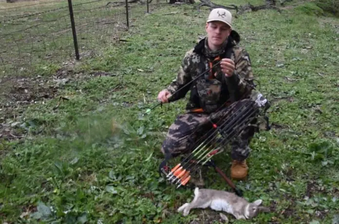 how to hunt rabbits with a bow how to hunt rabbits with a bow
